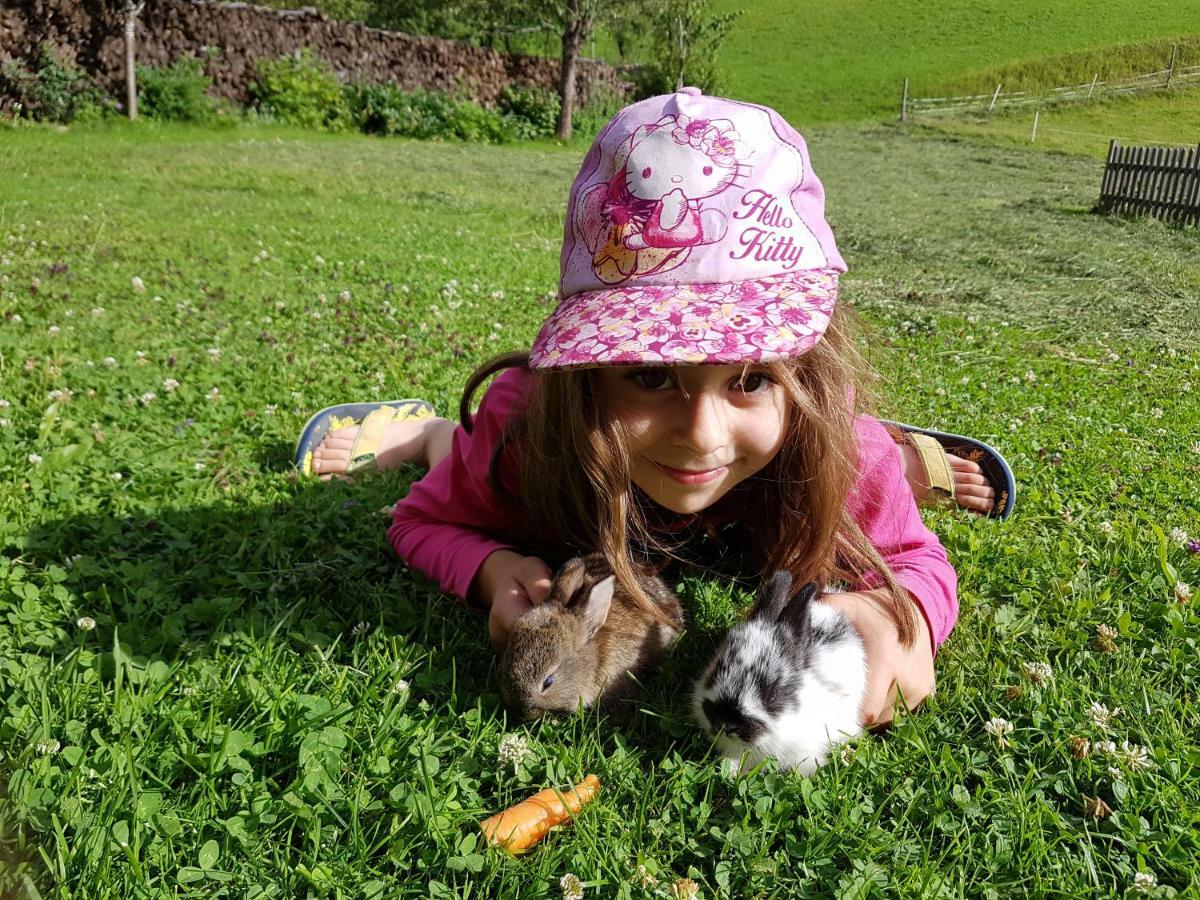 Rosenau am Hengstpass Biobauernhof Schoettelbauer מראה חיצוני תמונה